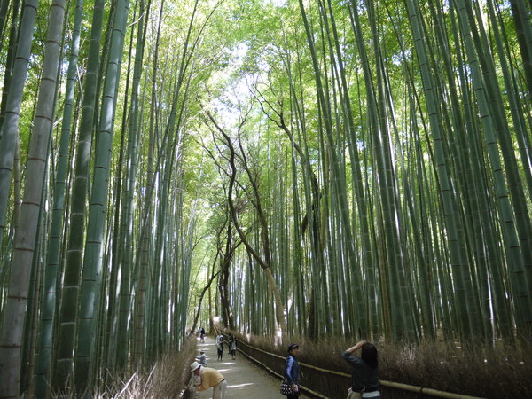 Kyoto 