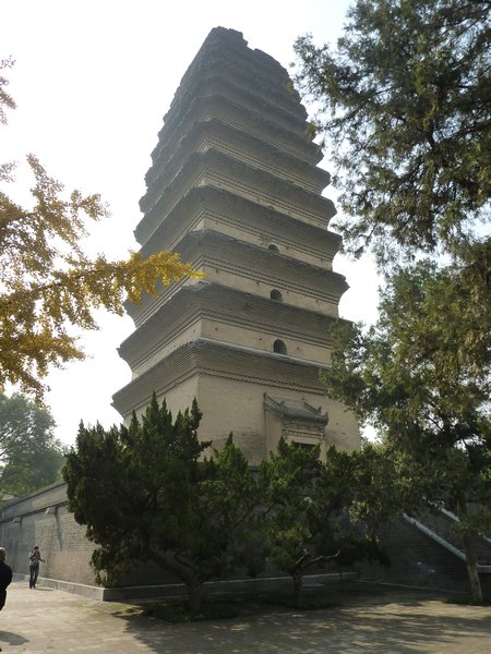 wild goose pagoda2