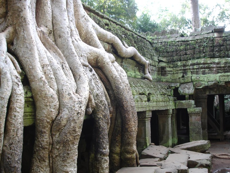 5.Angkor Wat (27)