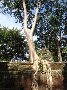 5.Angkor Wat (26)