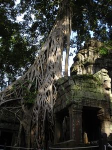 5.Angkor Wat (28)