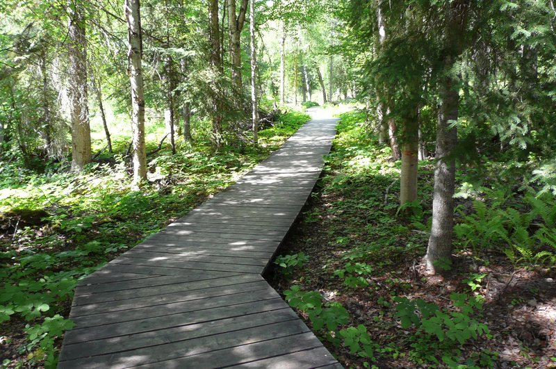 2011-07-08 Boardwalk trail at Laird Hotsprings
