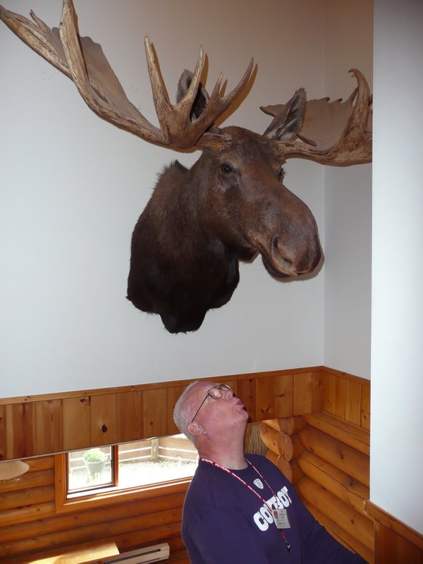 2011.07.09 - Liard Hotsprings Lodge, Dwain trying to kiss a moose