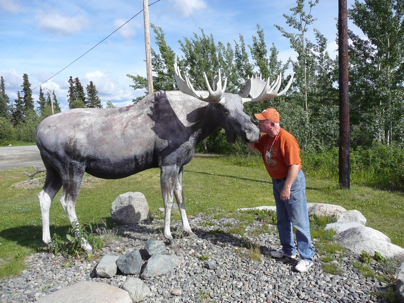 2011.07.10 - Teslin, YT, Yukon Motel & RV Park,4 Dwain kissing a Moose