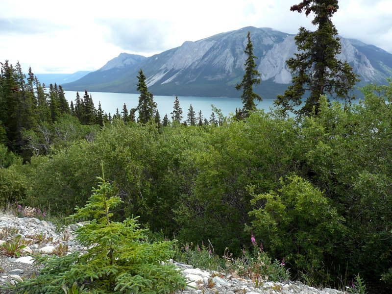 2011-07-15 - Emerald Lake along the road to Whitehorse
