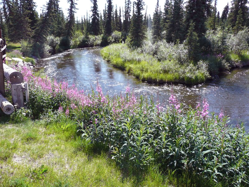 2011-07-21 - Anchorage - river at Mendeltna Lodge