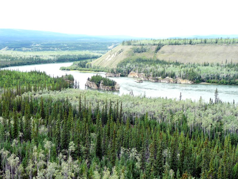 2011-08-10 Whitehorse looking down on the Yukon River
