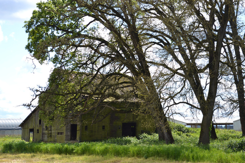 2015-04-25 An old barn