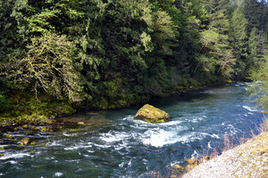 North Santiam River, OR 02