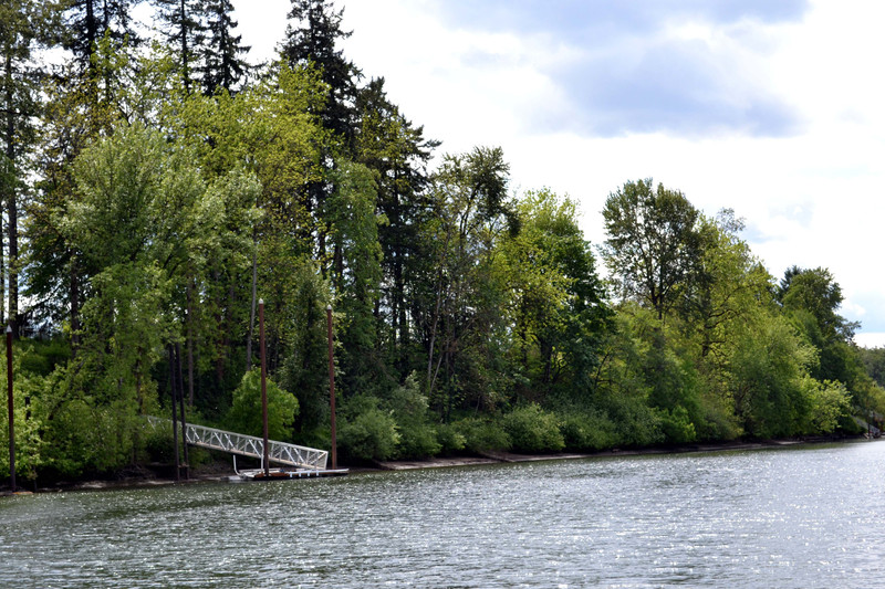  Canby Ferry Crossing 04