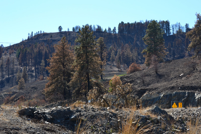 2015-09-10 Damage from wild fires 03