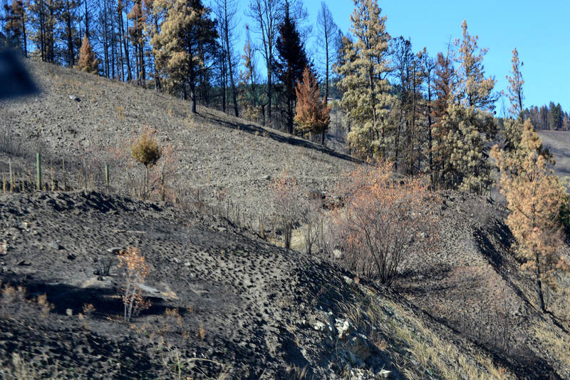 2015-09-10 Damage from wild fires