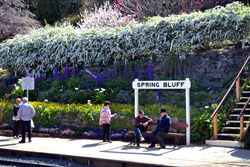 Gardens at Spring Bluff station