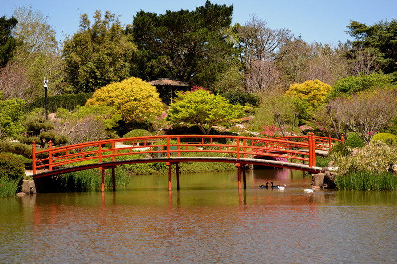  Japanese Gardens