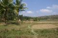 Tribal village and rice paddies