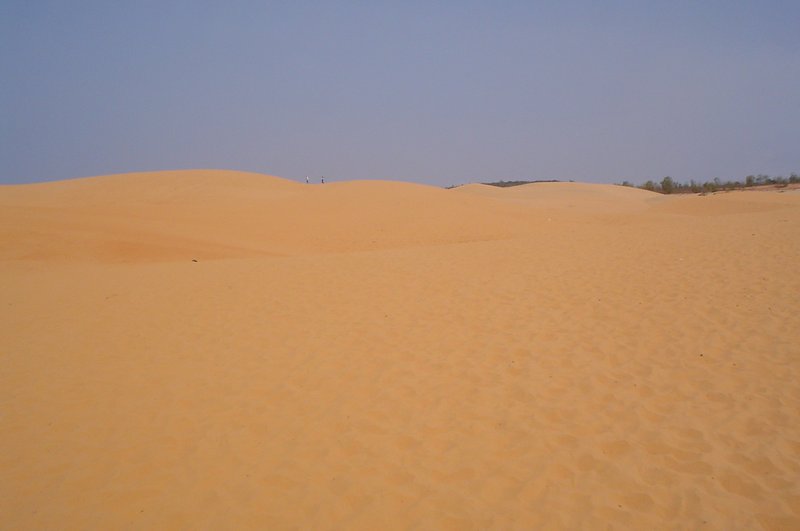 Red Sand Dunes