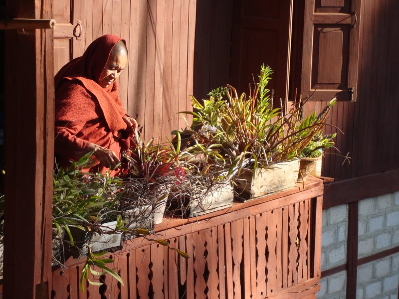 Head monk watering plants