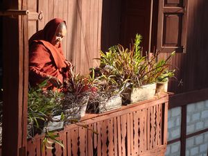 Head monk watering plants