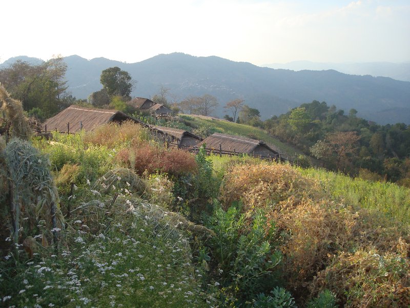 Nepalese village near Kyaukme