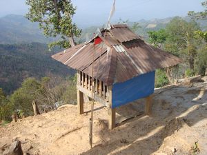 Nat shrine in village near Kyaukme