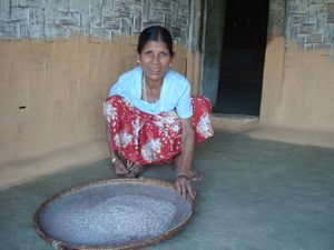 Nepalese village near Kyaukme