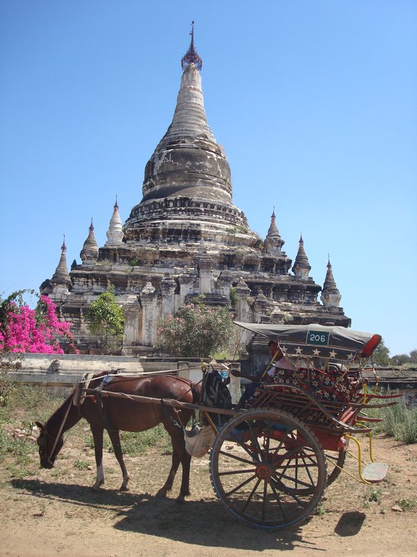 Bagan - My horse and cart