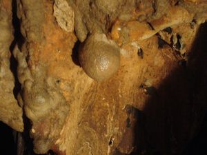 Soppong - Breast formation in cave