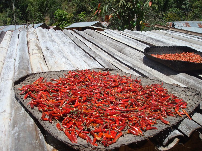 Nai Soi - drying chillies