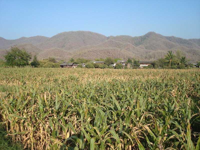 Mae Sariang countryside