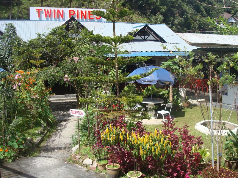 Twin Pines guesthouse