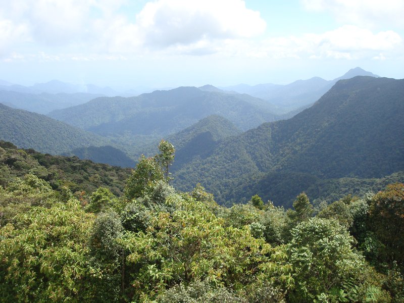 View from Gunung Brinchang