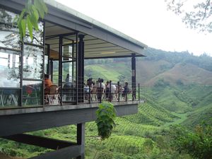 Cafe - Sungei Palas BOH tea plantation