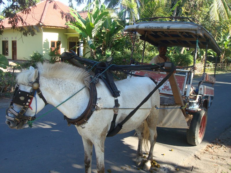 My horsecart ride from Bangsar port