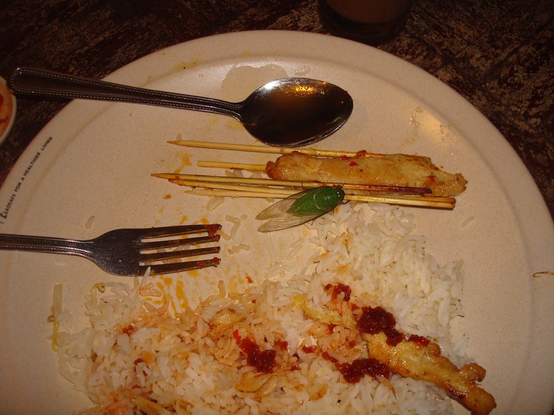 There is a bug in my satay