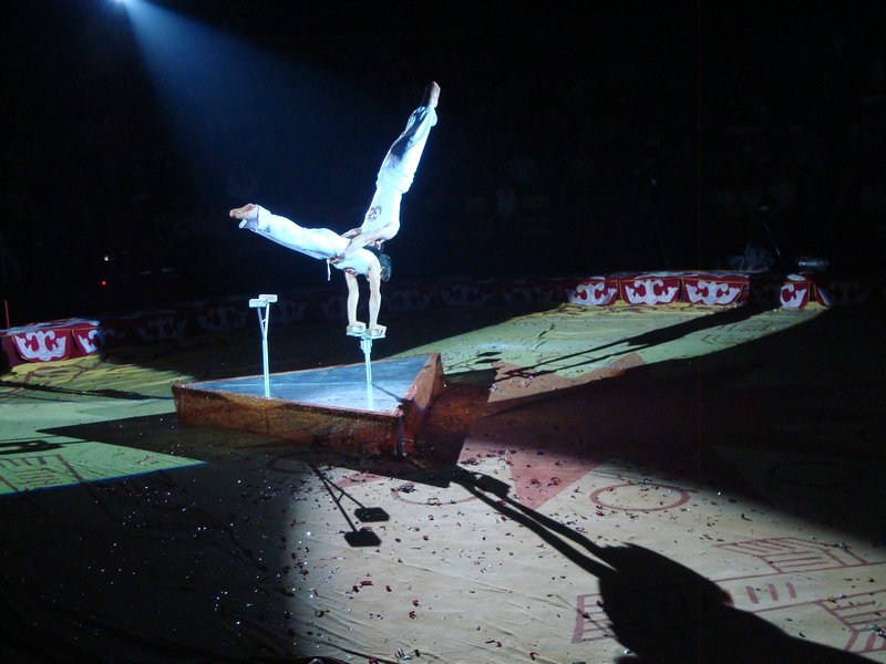 Circus competition