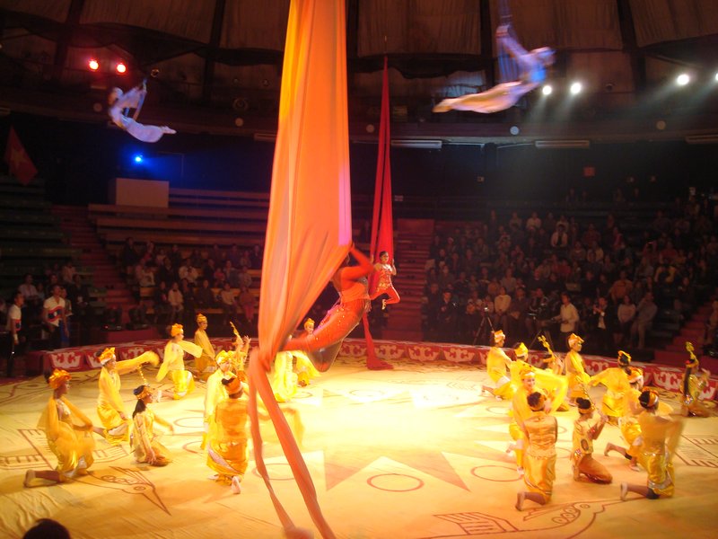 Circus competition