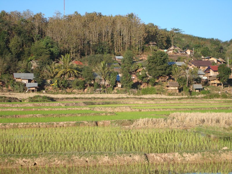 Scenery near Luang Namtha