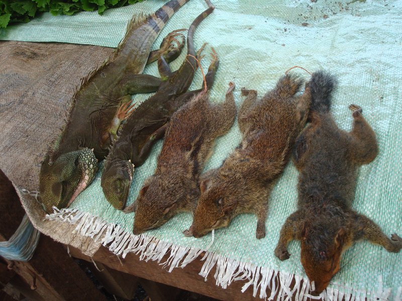 Dead lizards and squirrels and Sekong market
