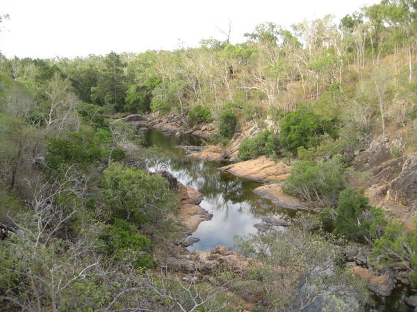 Alligator Creek