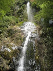 Waterfall near Lewis Pass