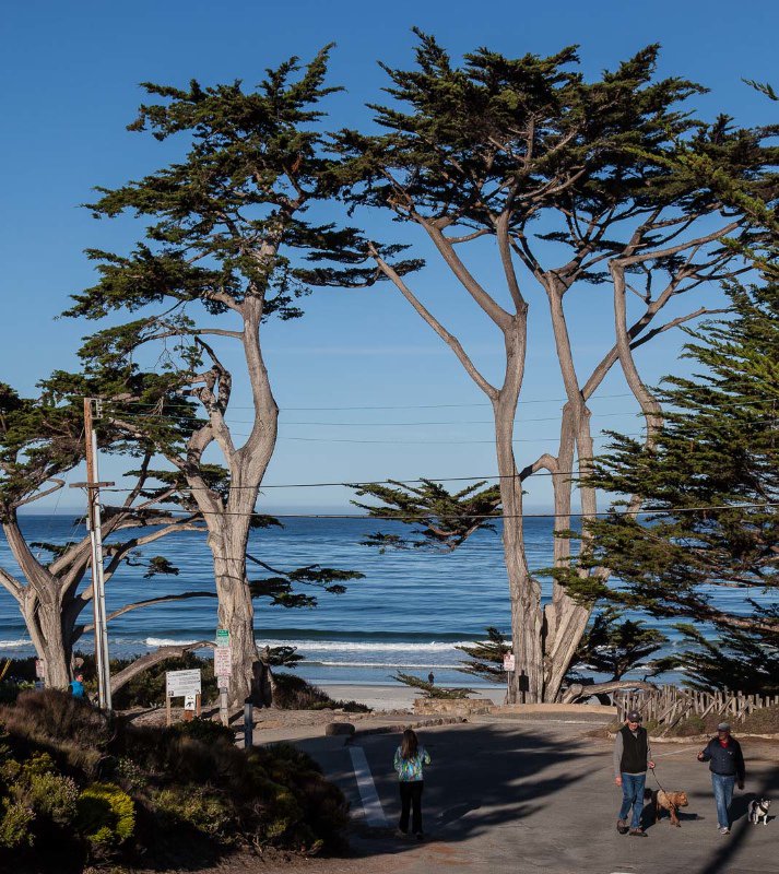 Carmel Beach - Street View