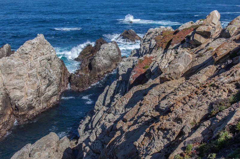 Point Lobos 1