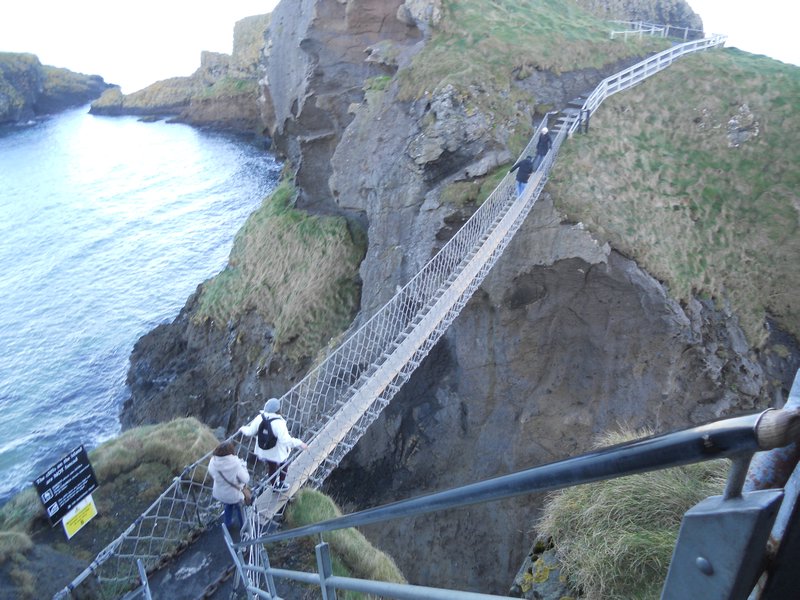 The rope bridge