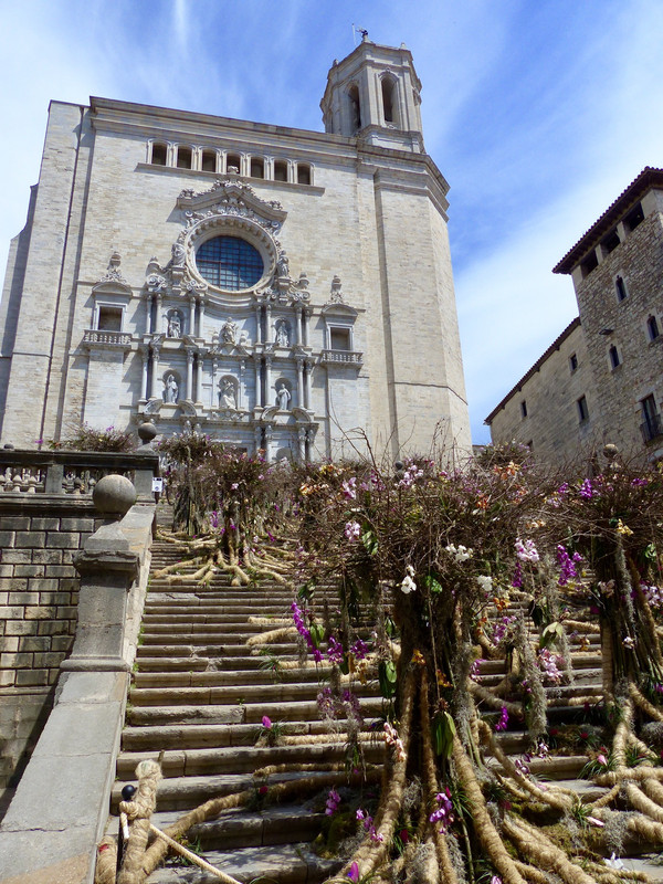 girona cathedral during the flower festival