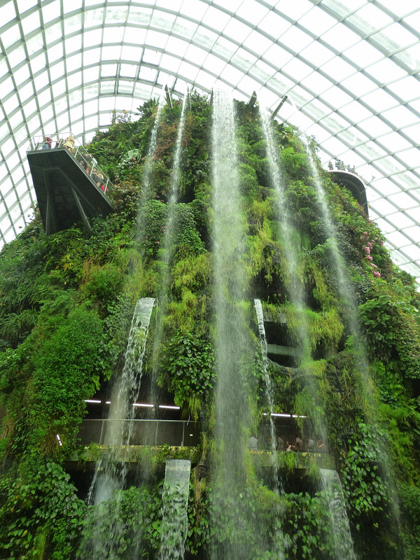 cloud forest conservatory