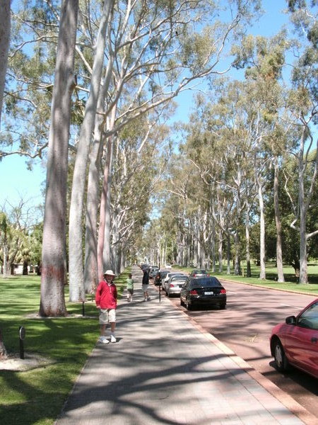 The avenue at King's Park 