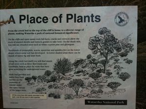 Plant facts