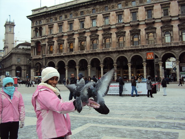 Pigeon in the square