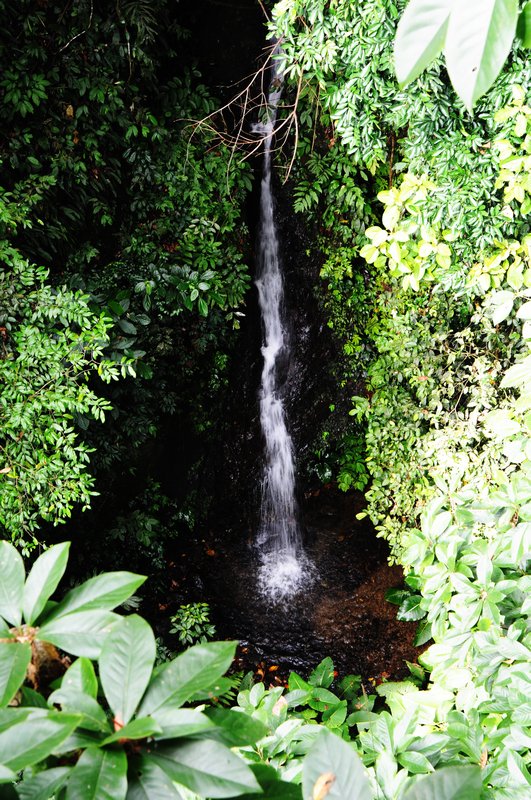 a waterfall in Gunung Kinabalu NP