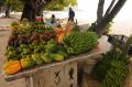 the fruit stall at Beau Vallon